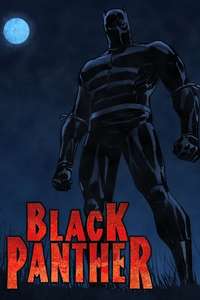 Black Panther - Posters