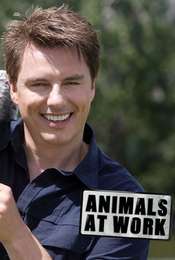 Animals at Work Season 3