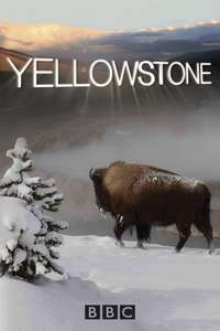 Yellowstone - Poster