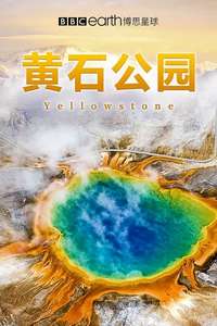 Yellowstone - Poster