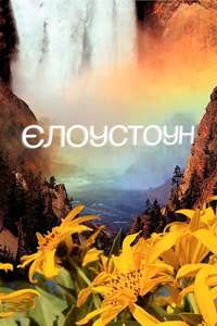Yellowstone - Poster