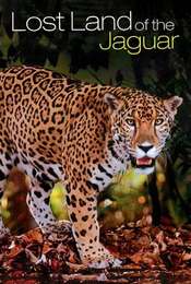 Lost Land Of The Jaguar