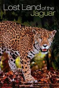 Lost Land Of The Jaguar - Poster