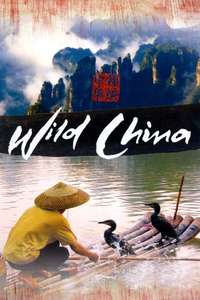 Wild China - Poster