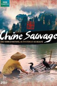 Wild China - Poster