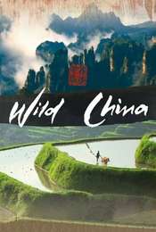Wild China