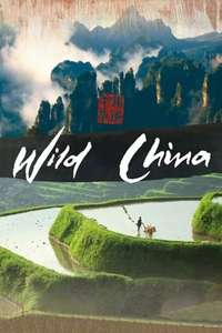 Wild China - Poster
