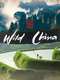 Wild China