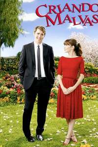 Pushing Daisies - Posters