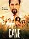 Cane