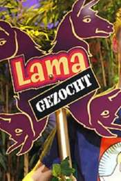 Lama Gezocht