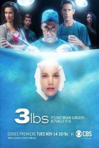 3 lbs - Poster