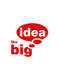 The Big Idea