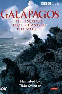 Galapagos - Posters