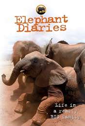 Elephant Diaries