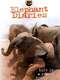 Elephant Diaries