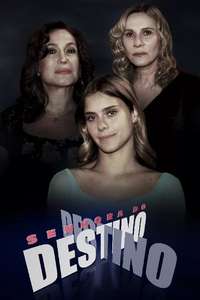 Senhora do Destino - Posters