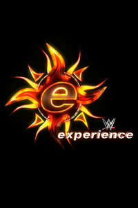 WWE Experience - Posters