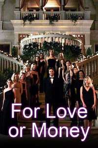 For Love or Money - Poster