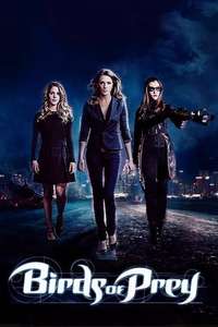Birds of Prey - Poster