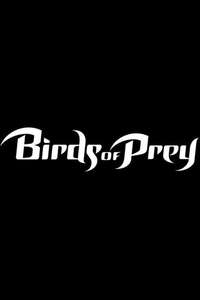 Birds of Prey - Poster