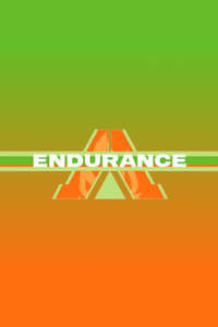 Endurance - Poster