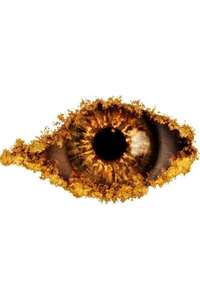 Celebrity Big Brother - Poster