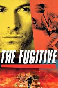 The Fugitive: The Chase Continues - Posters
