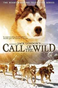 Call of the Wild - Poster
