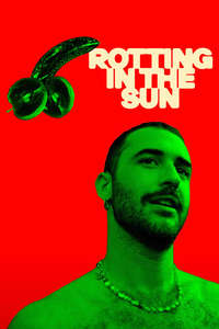 Rotting in the Sun - Posters