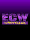 ECW on TNN
