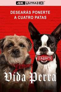 Strays - Posters