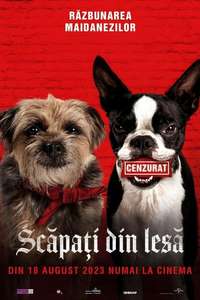 Strays - Posters