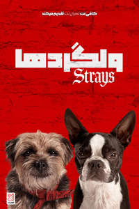 Strays - Posters