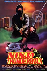 Ninja Thunderbolt - Poster