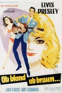 It Happened at the World's Fair - Poster
