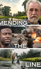 Mending the Line