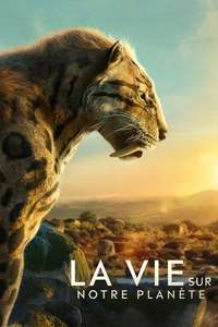 Life on Our Planet - Posters