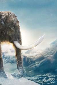 Life on Our Planet - Posters