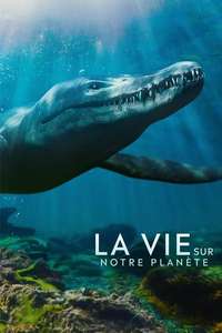 Life on Our Planet - Posters