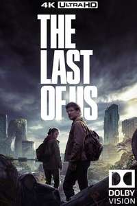 The Last of Us - Posters
