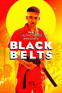 Black Belts - Posters