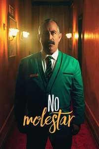 Do Not Disturb - Poster