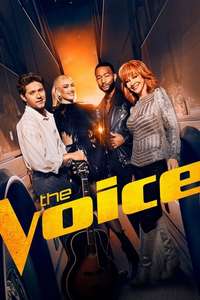 The Voice - Posters