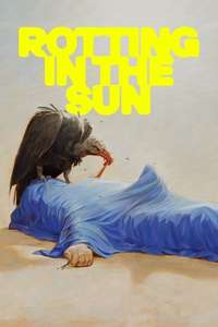 Rotting in the Sun - Posters