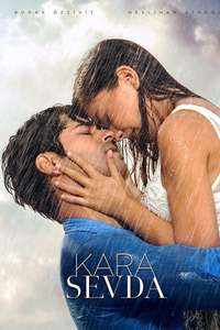 Endless Love - Posters