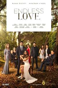 Endless Love - Posters