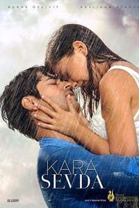 Endless Love - Posters