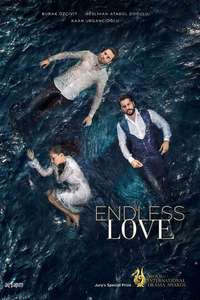Endless Love - Posters