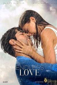 Endless Love - Posters
